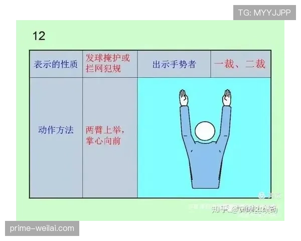 肘部动作犯规判定标准到底有多严格？裁判如何界定有效犯规