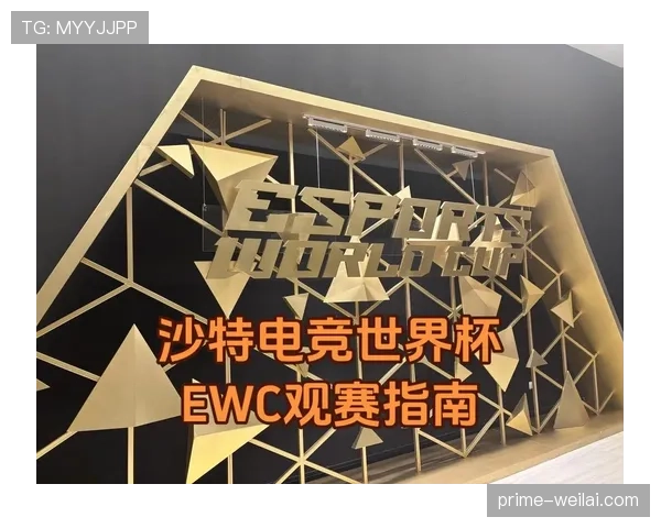 世界杯小组赛焦点较量直播在哪看？观赛指南汇总