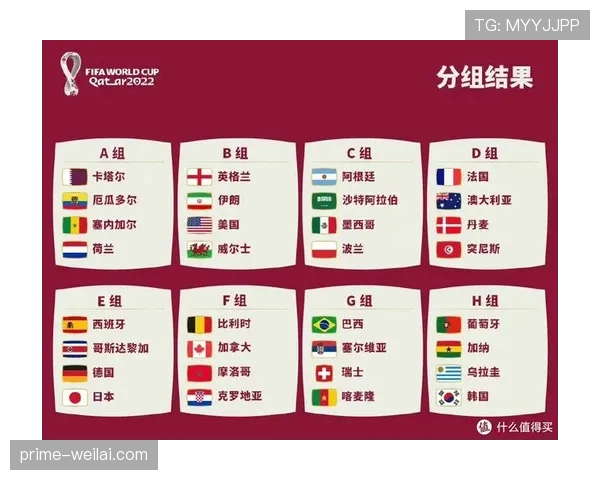 世界杯E组晋级路线图分析
